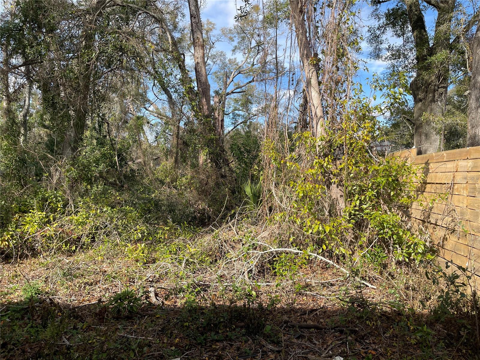 Lot 1 135th Terrace, FL