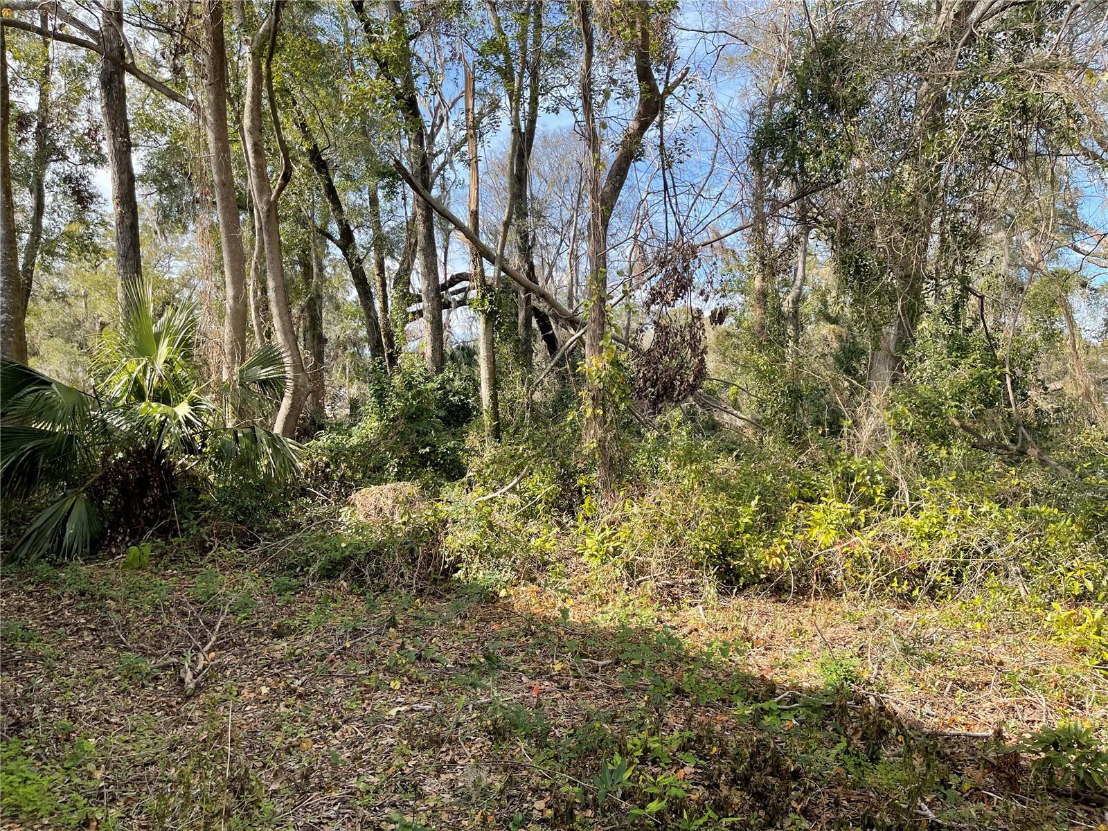 Lot 1 135th Terrace, FL