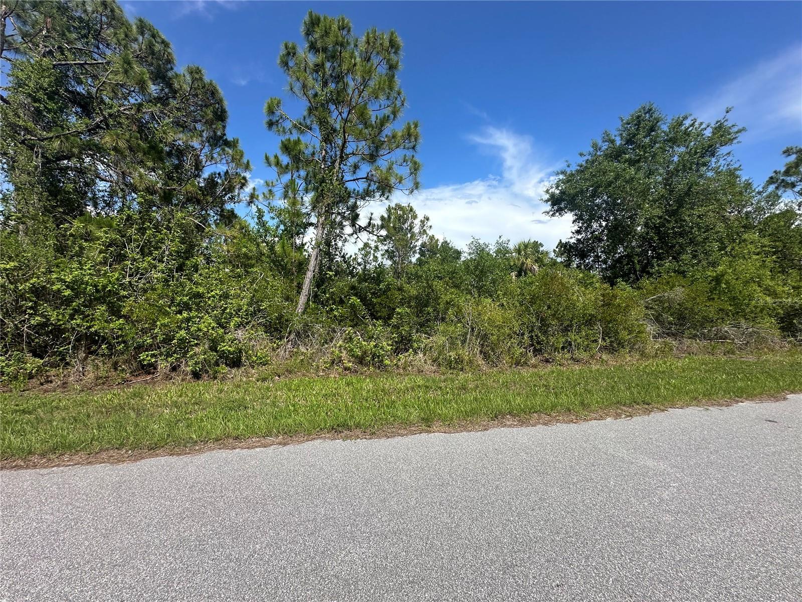 2392 Salerno Street, FL