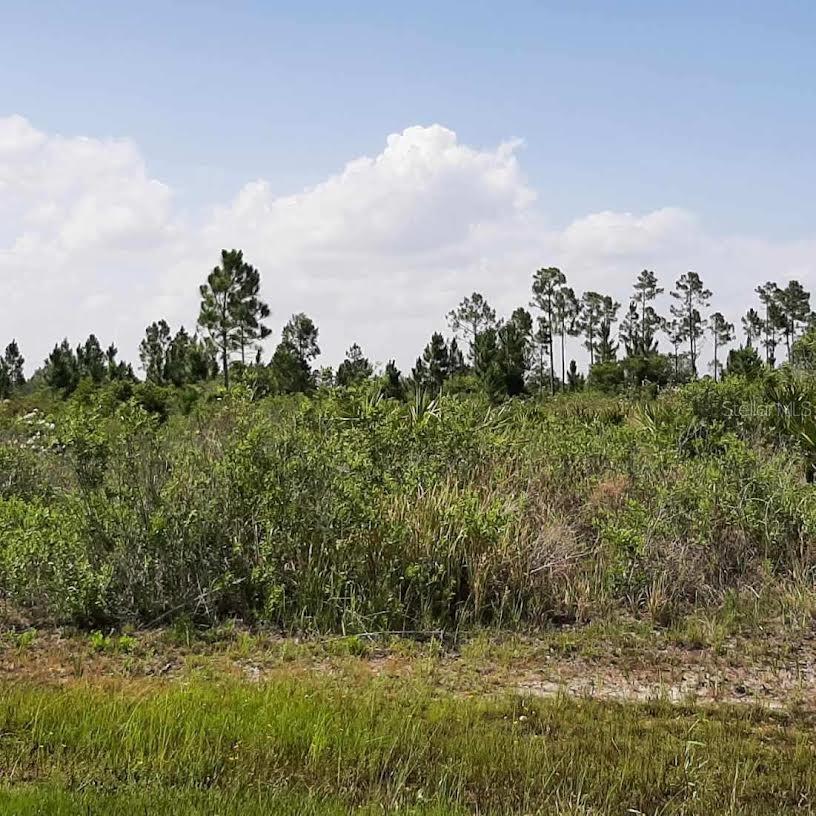 414 Calendula Drive, FL