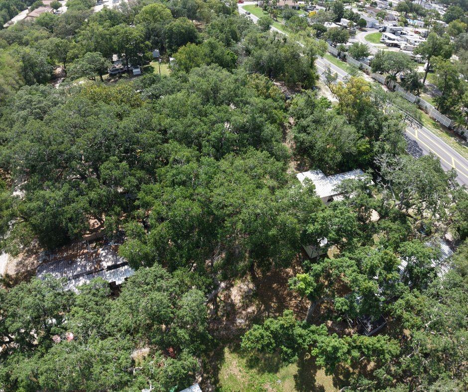 2301 Graves Avenue, FL