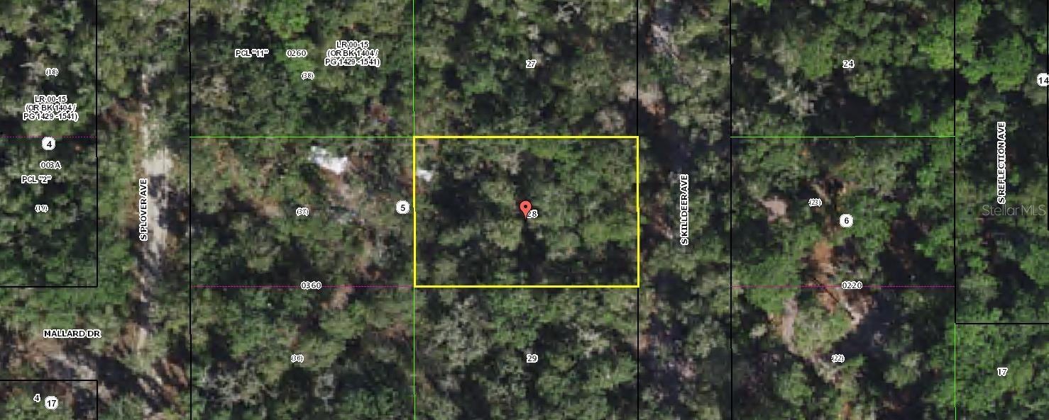 3966 Killdeer Avenue, FL
