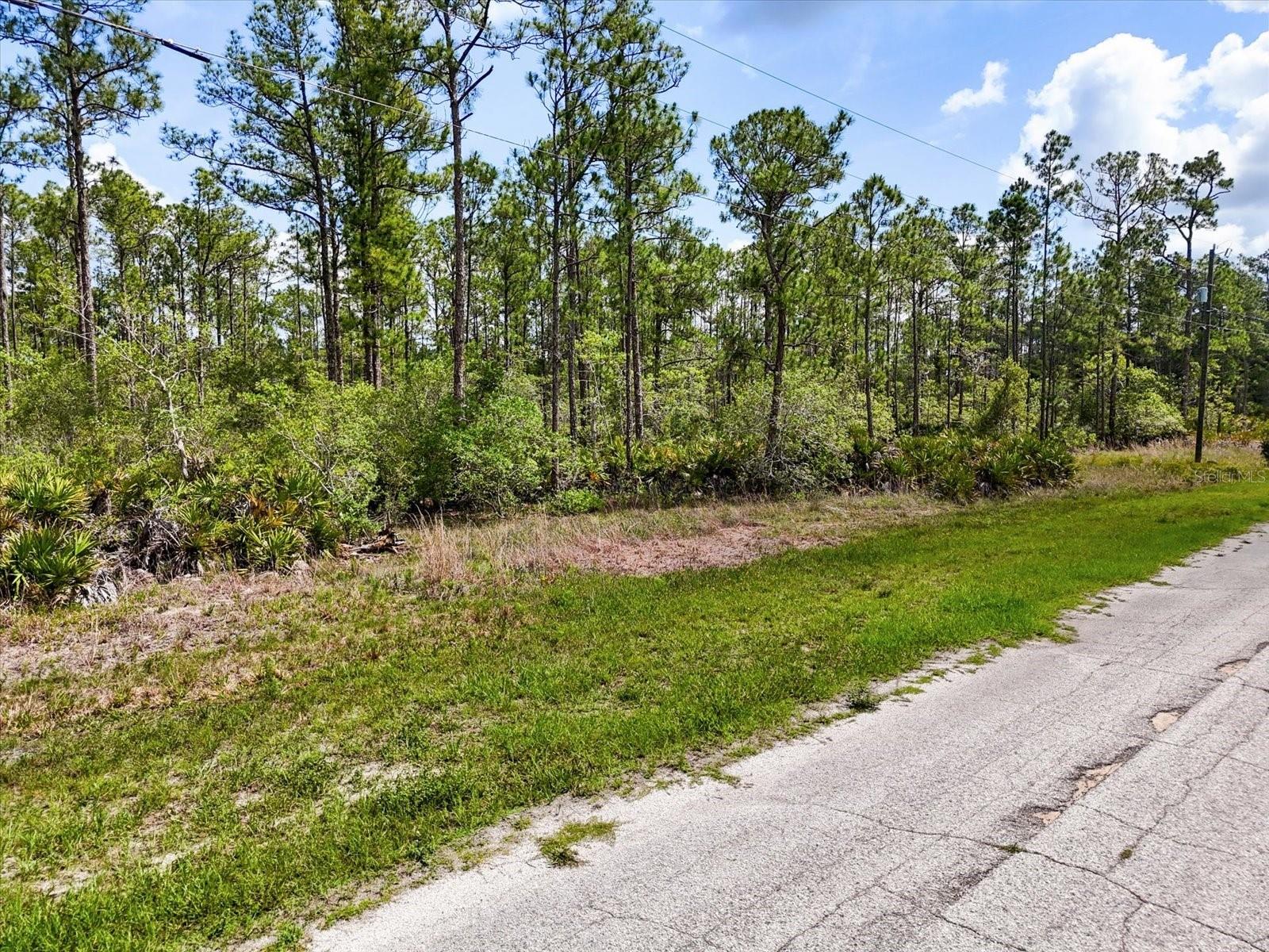 Lot 61 Meadow Lark Boulevard, FL