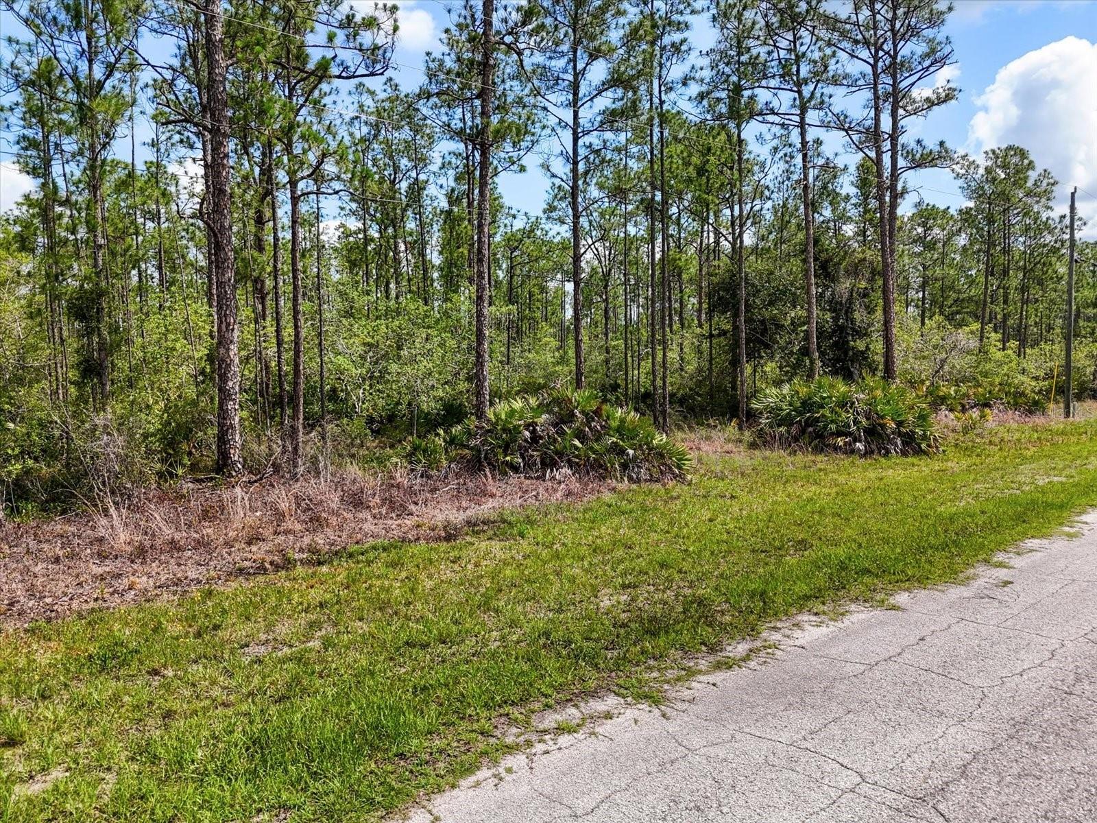 Lot 62 Meadow Lark Boulevard, FL