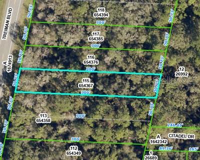 8388 Treiman Boulevard, FL