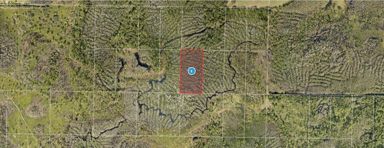 Calvin Lee Road, FL