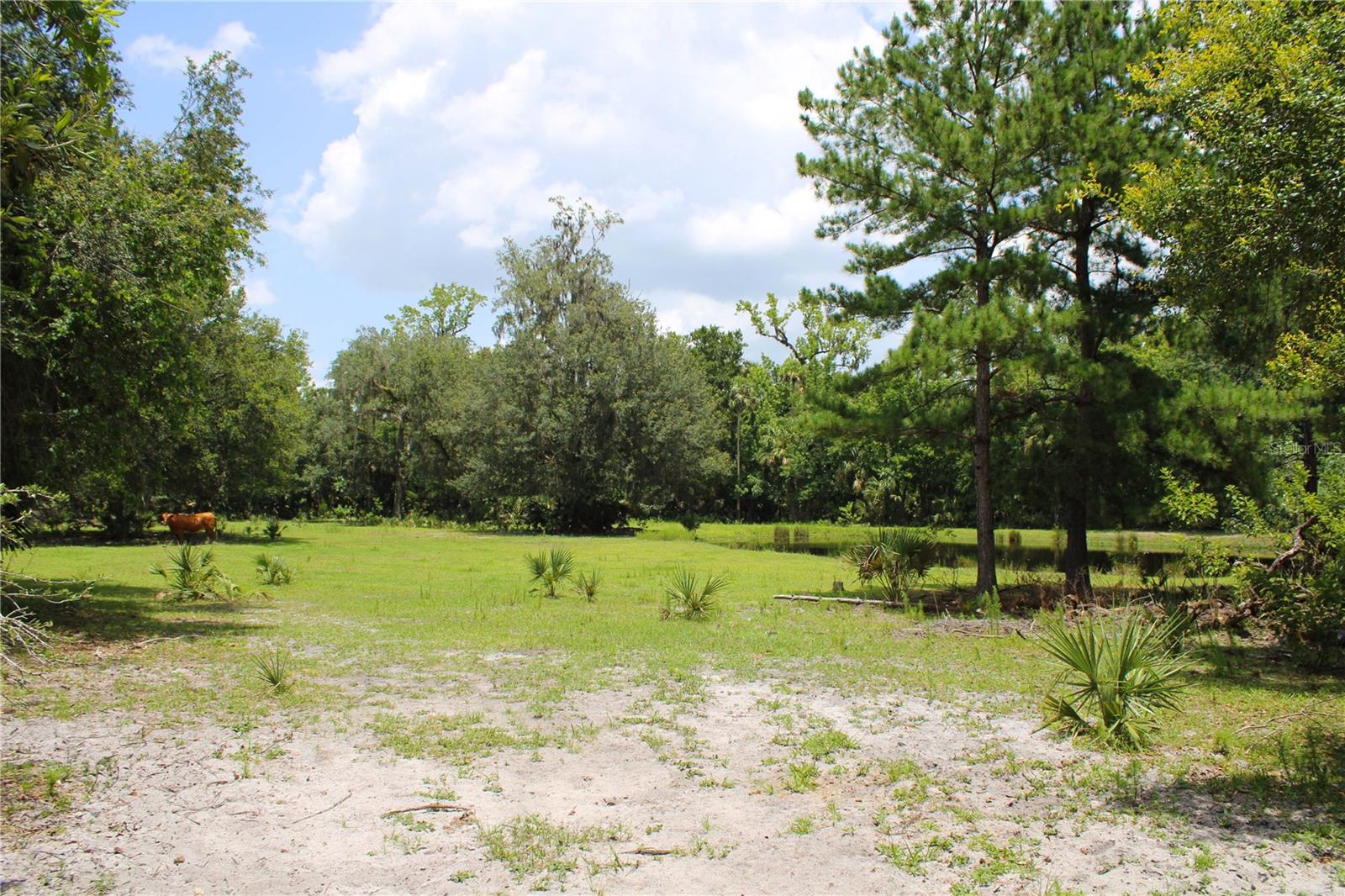 1676 Sunset Trail, FL