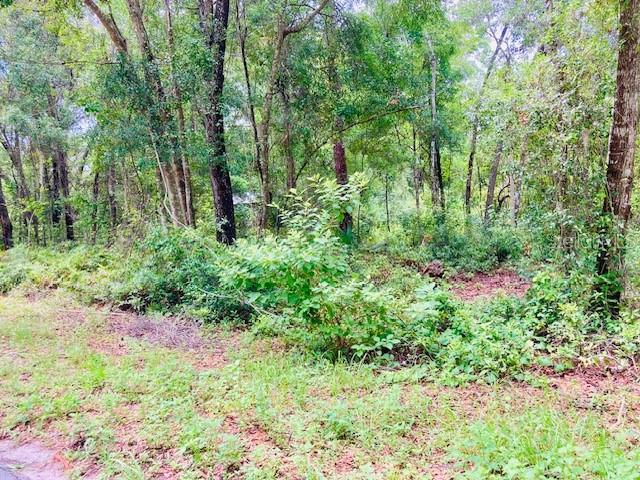 407 Raulerson Rd, FL