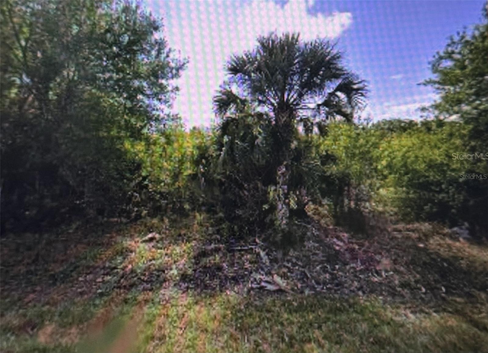 11443 3rd Avenue, FL