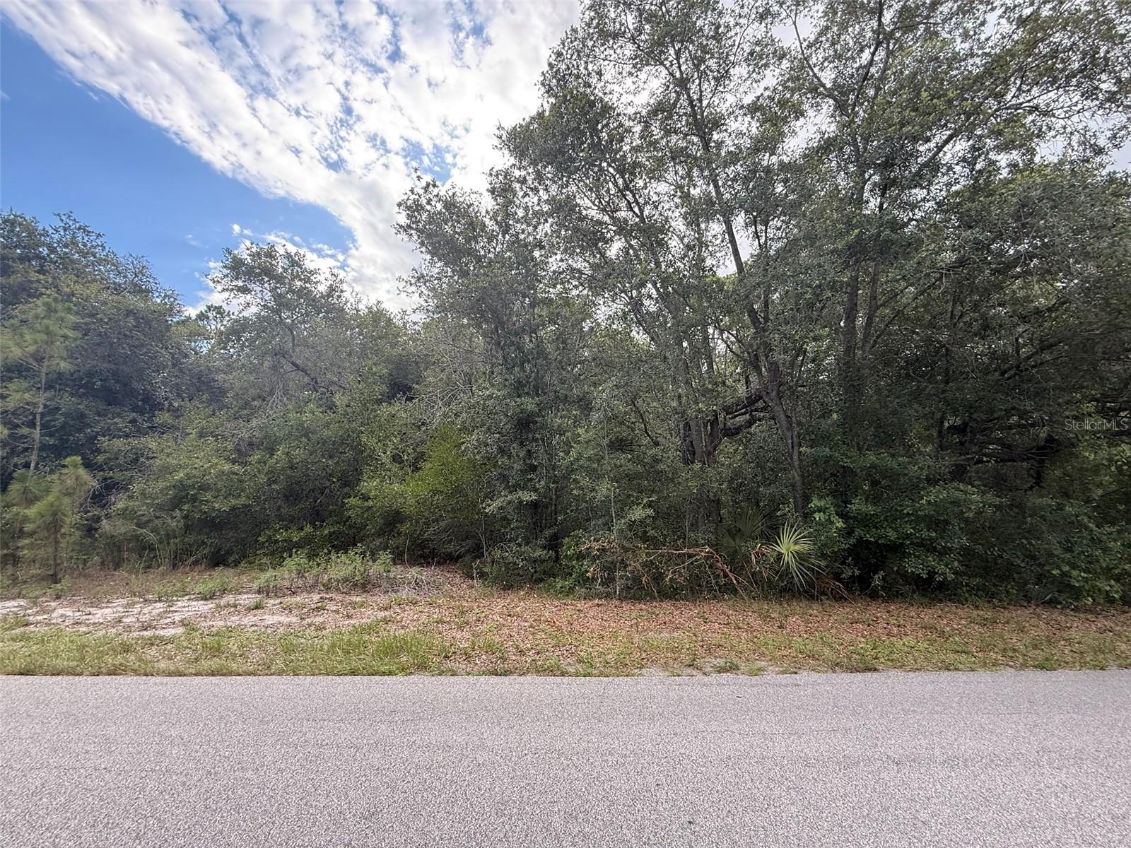 1012 Wildflower Street, FL