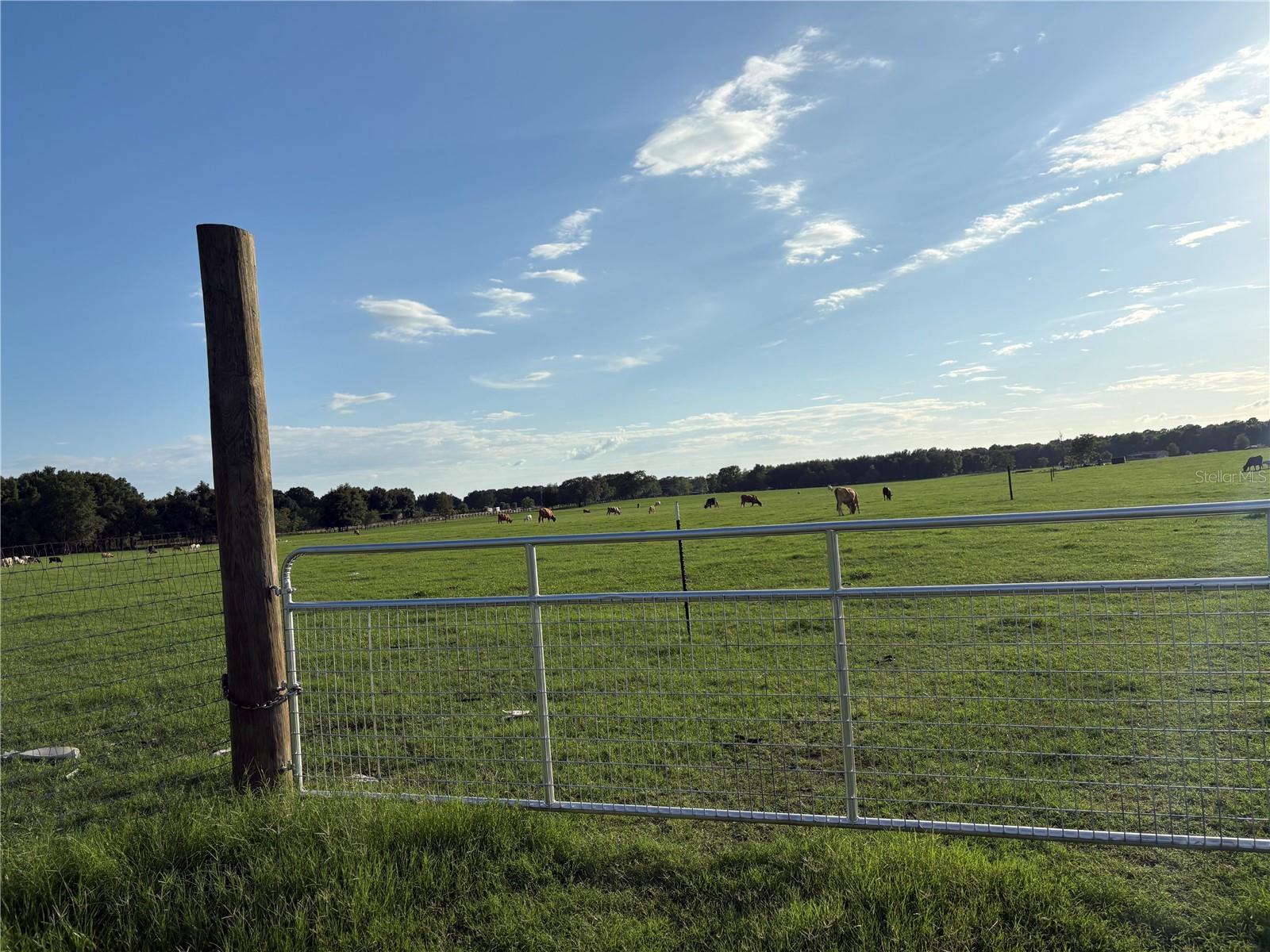 13994 County Road 209, FL