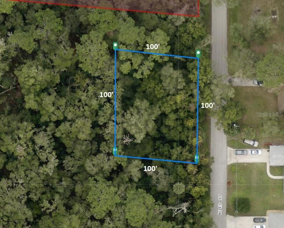 31637 Niles Street, FL
