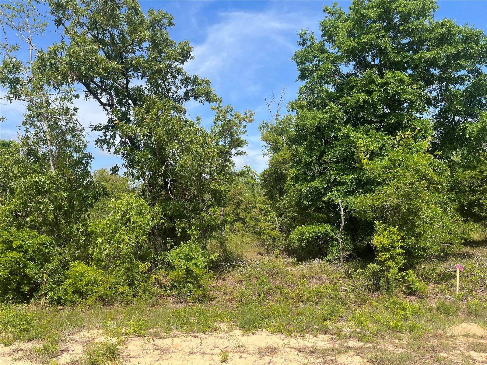Rome Avenue, FL