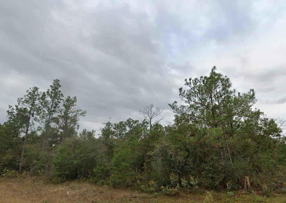 Drumlin Street, FL