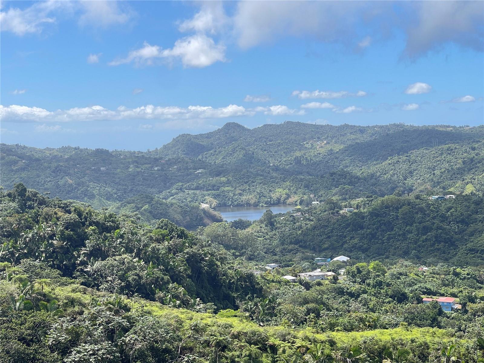 Pr-518 Km.10.0 Garzas Ward, PR