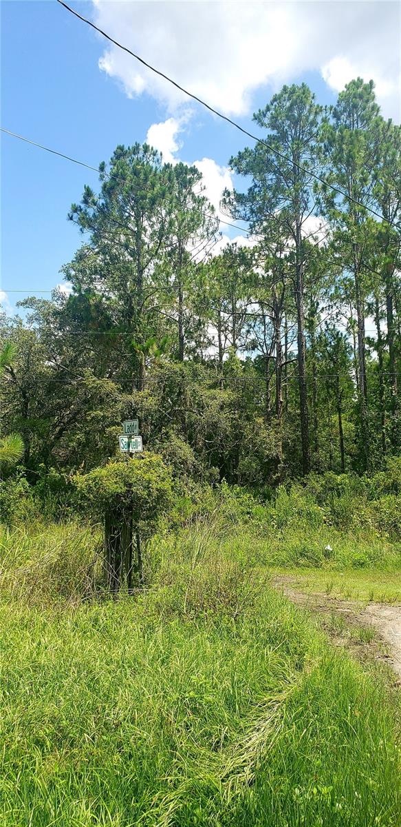 0 Ladd Avenue, FL