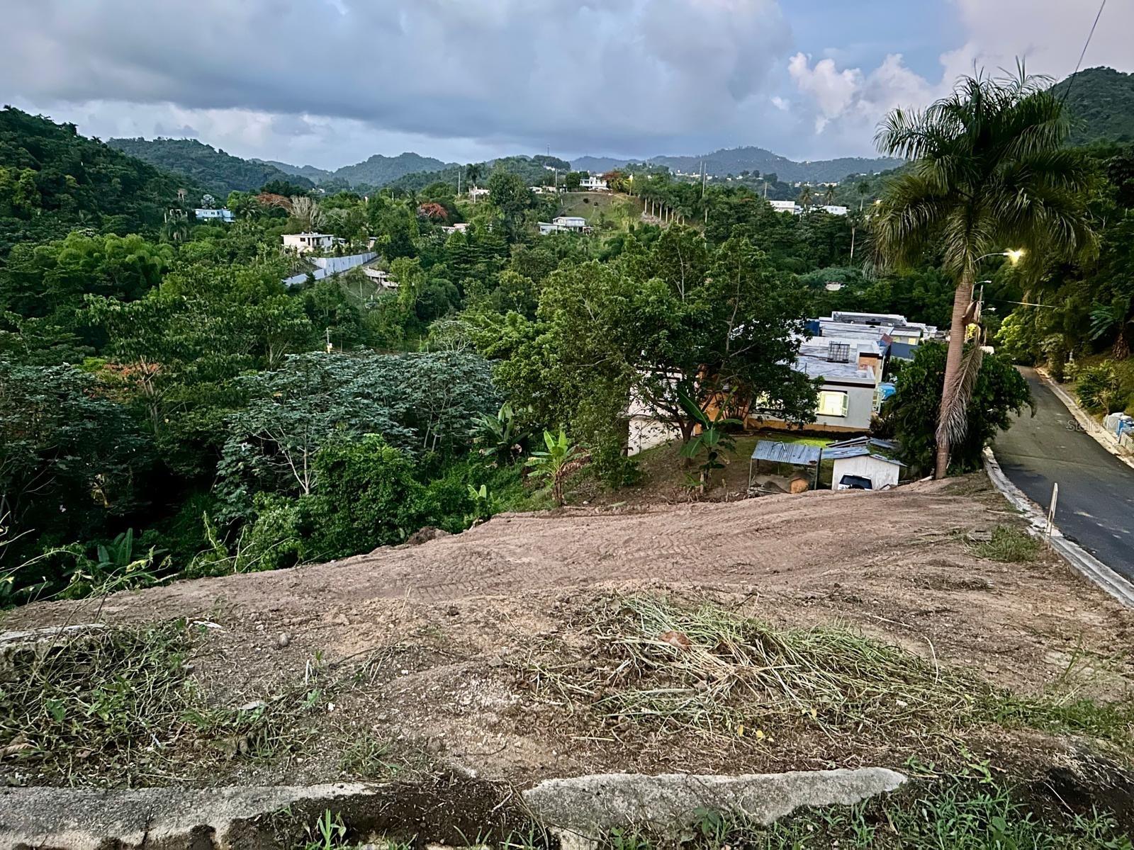 164 St. Km 4.4 Bo. Nuevo, PR