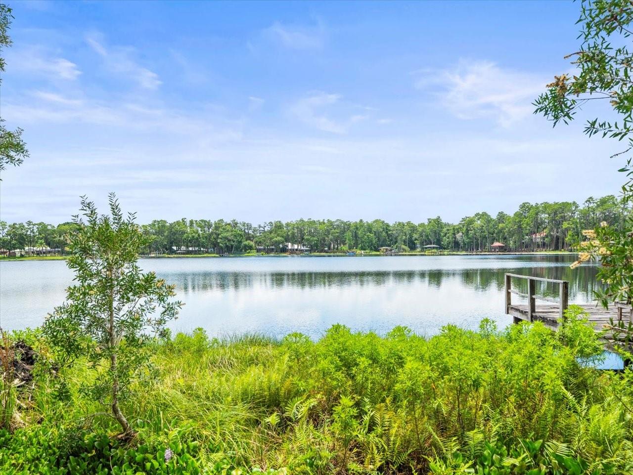 16035 Chastain Road, FL