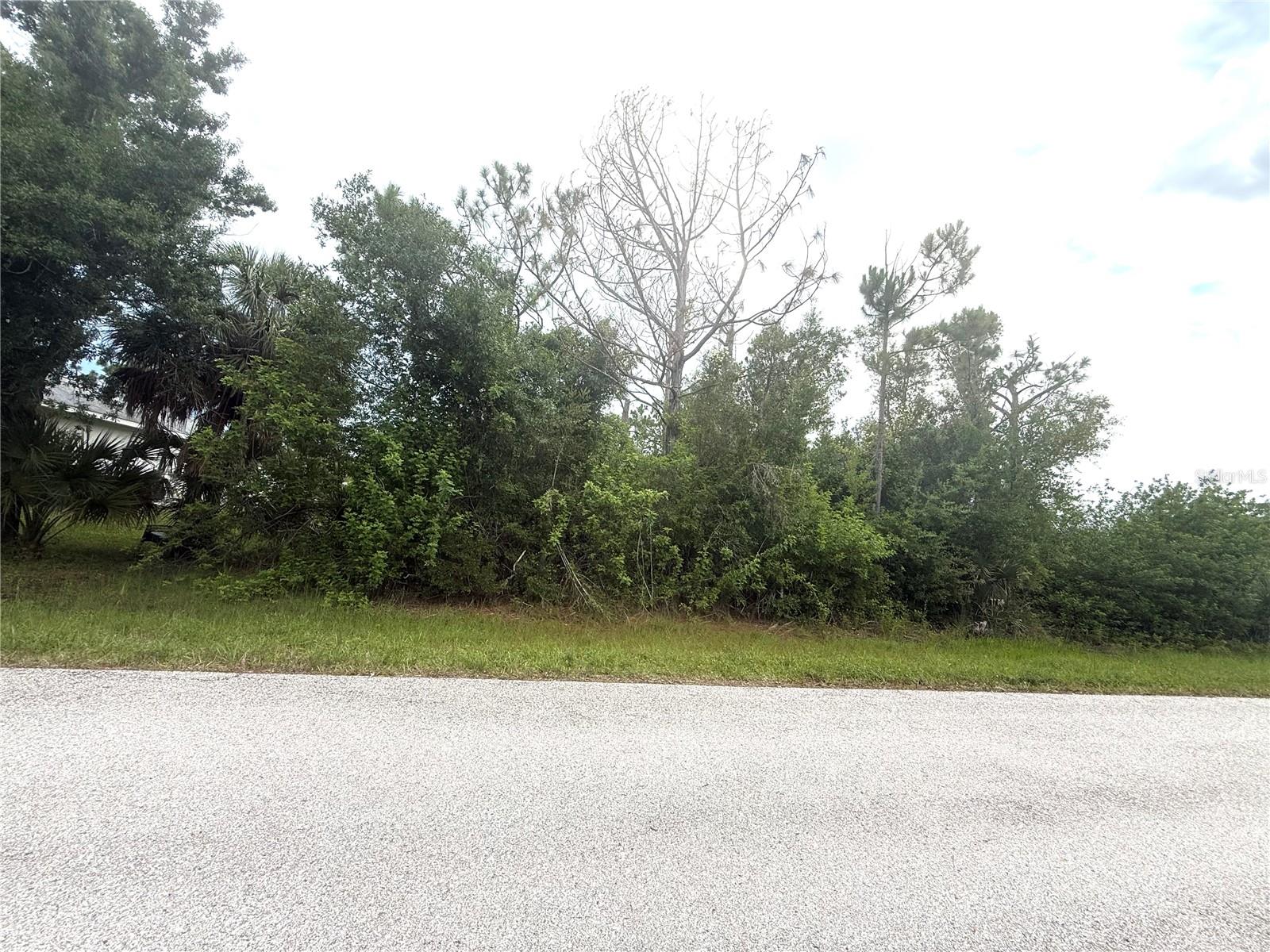 6165 & 6173 Blackberry Street, FL