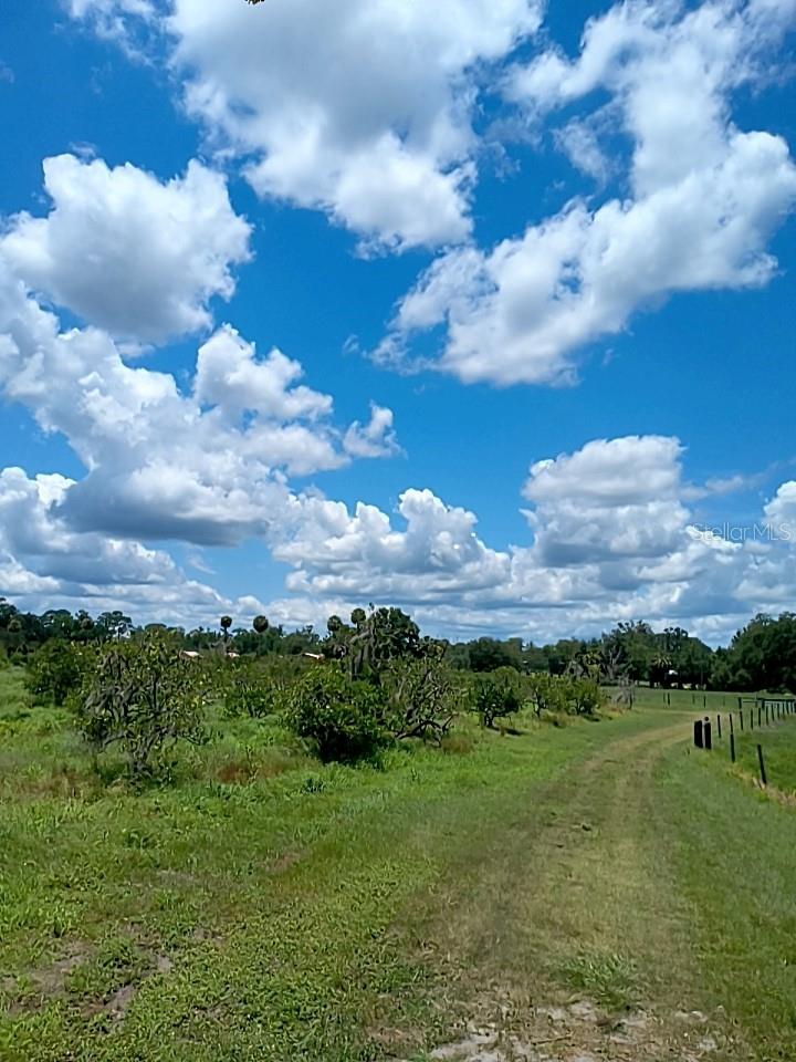 No Street, FL