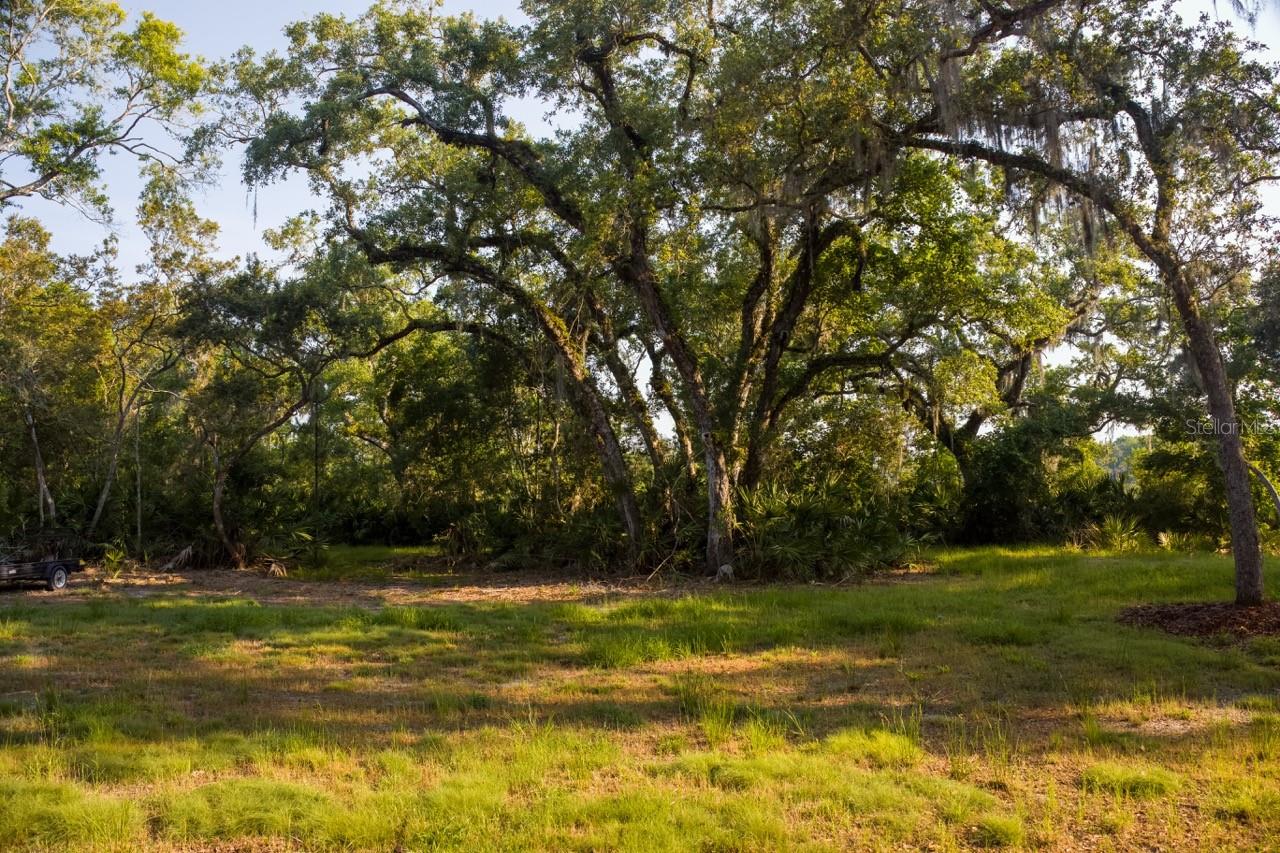 10 Lexington Court, FL
