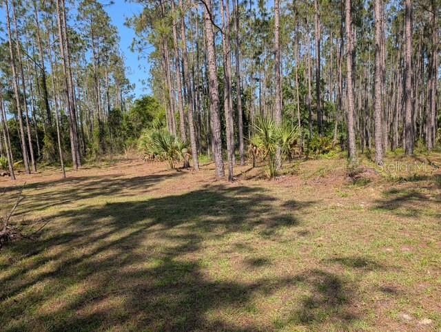 540 Sw 326th Ave, FL