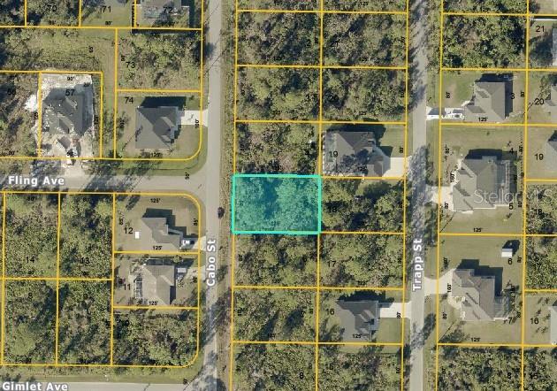 Lot #5 Cabo St, FL