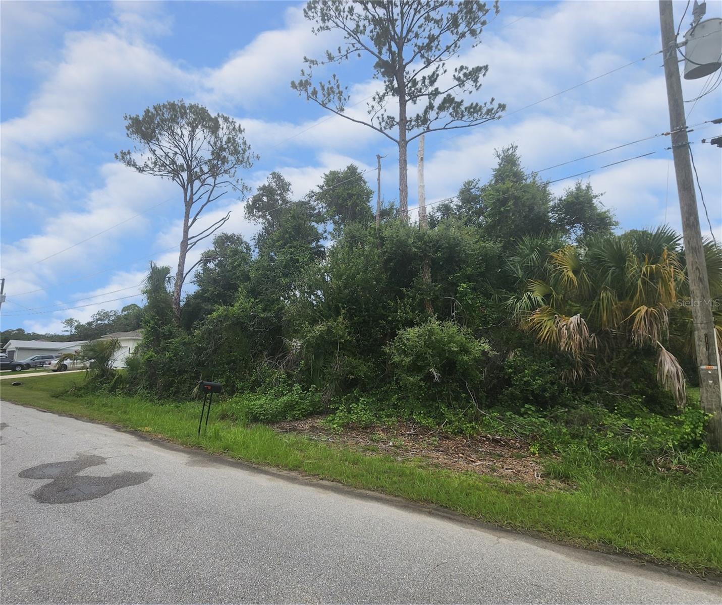 Tarabilla Ave, FL