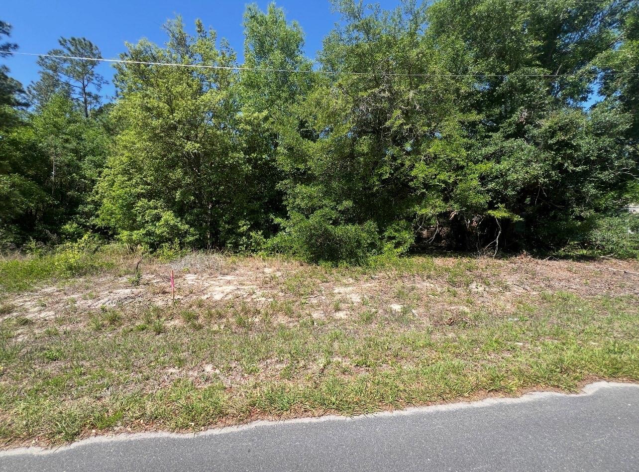Tbd Locust Course Radial Lot 20, FL