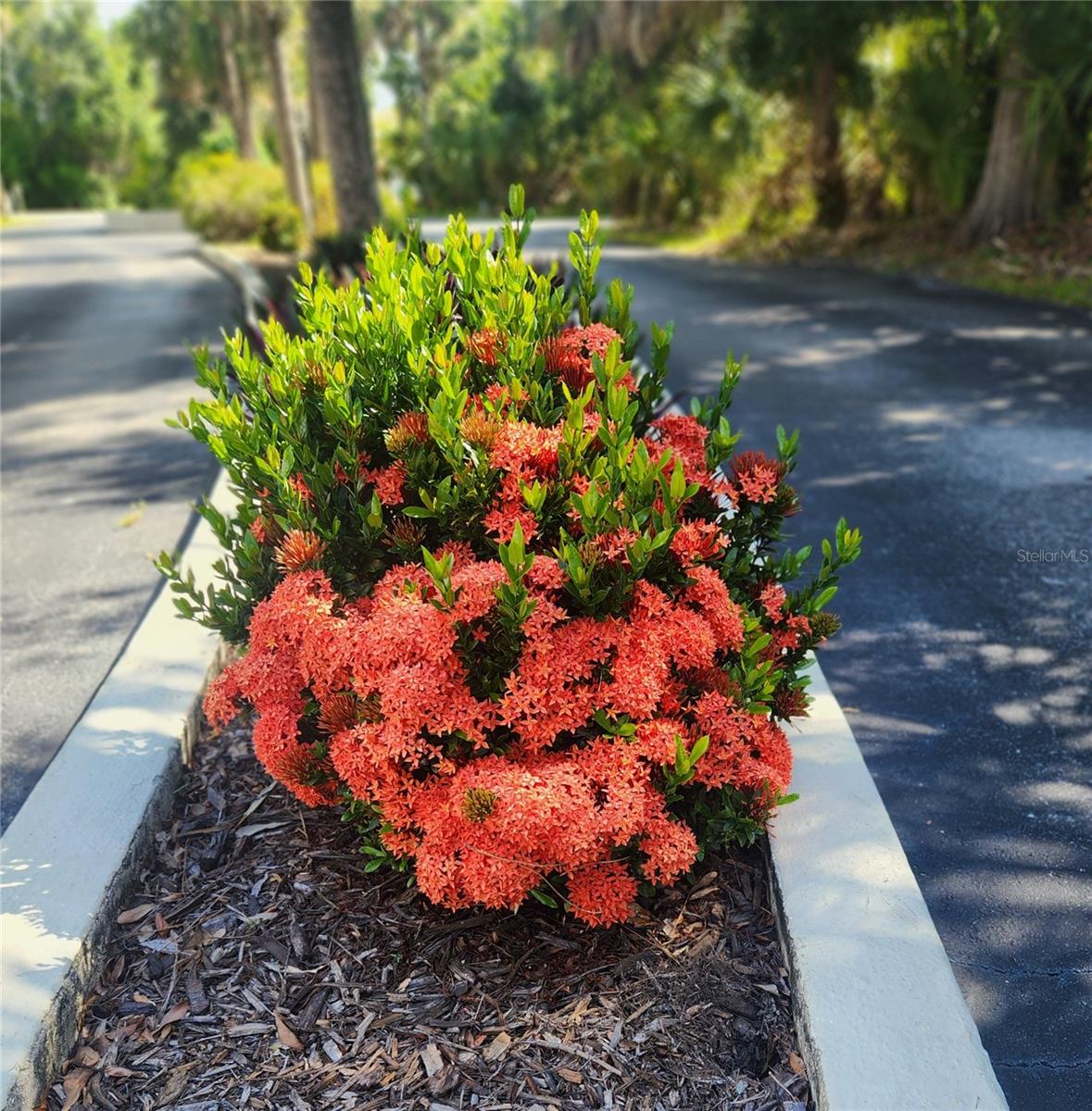 22481 Westchester Boulevard, FL