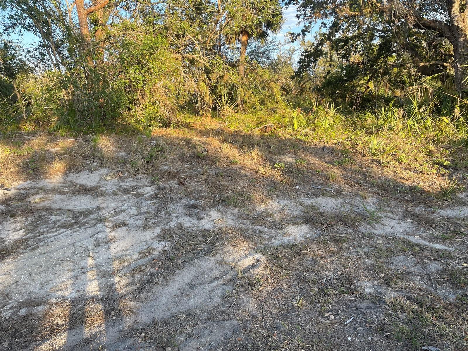 Baynes Rd, FL