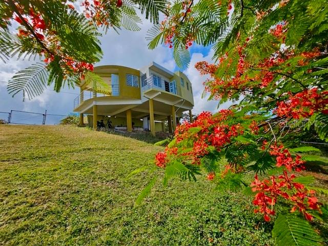 Vieques Villa Borinquen, PR