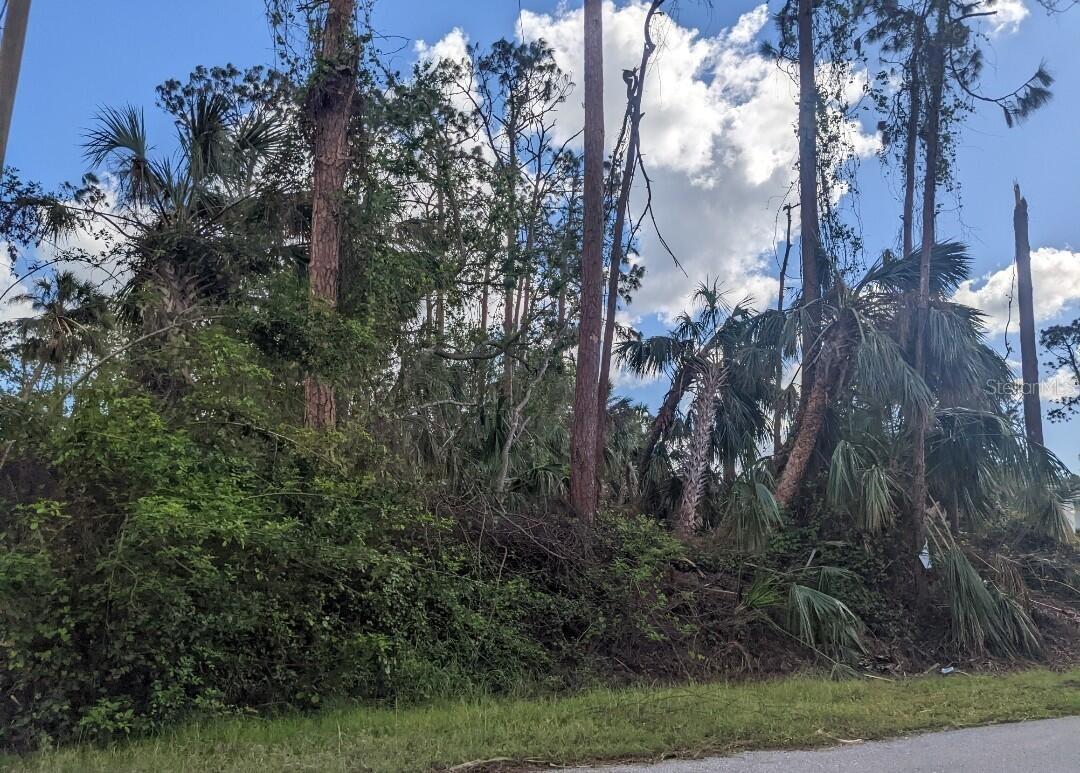 Talisman Terrace, FL