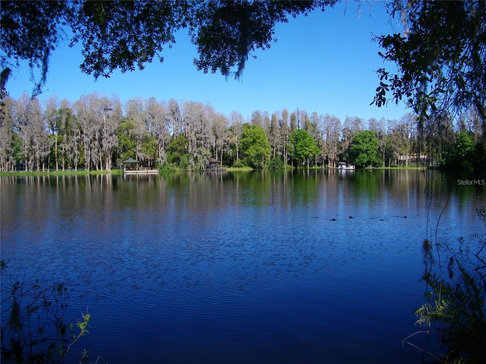 17017 Paula Lane, FL