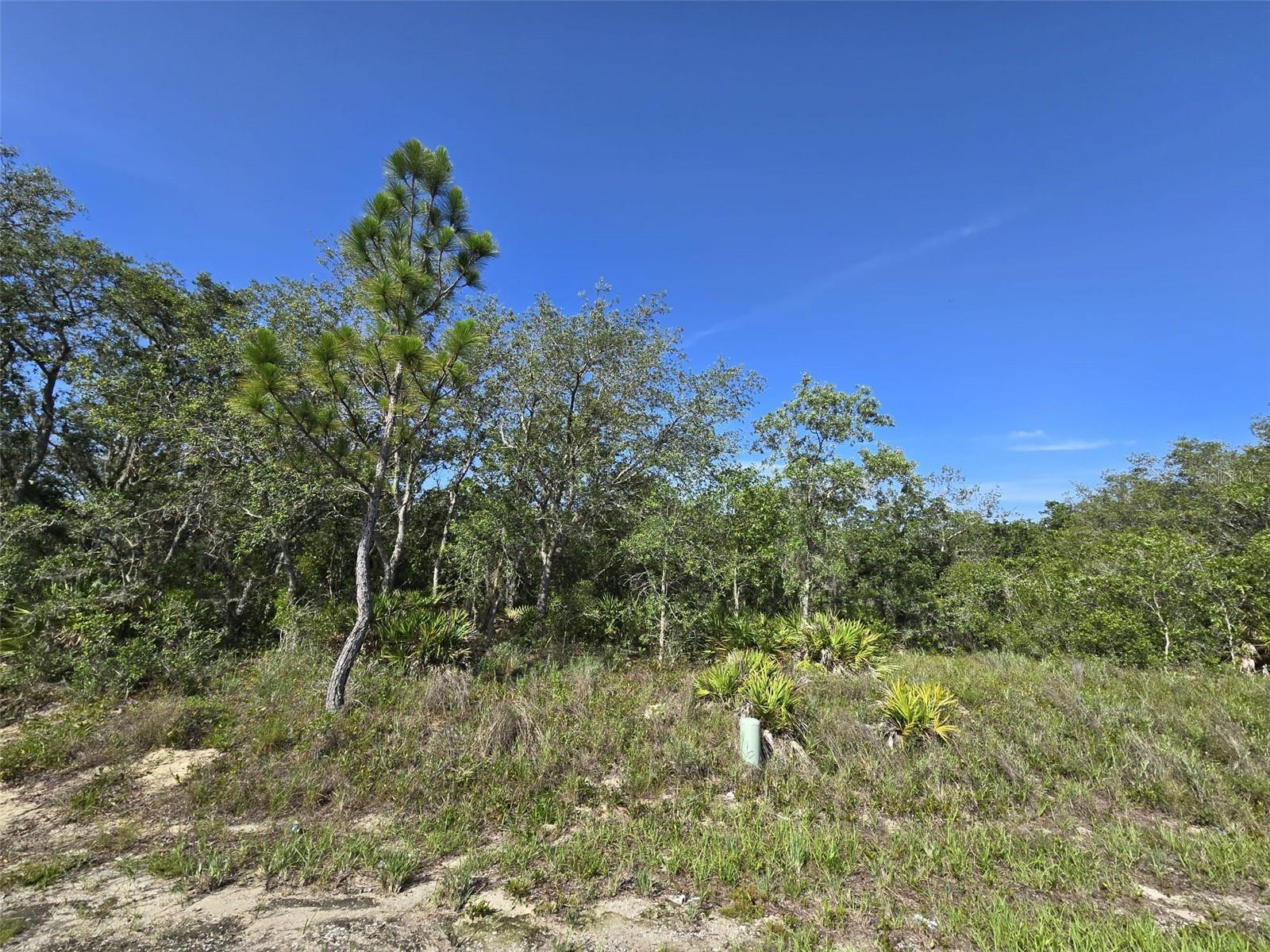 112 Tench Dr, FL