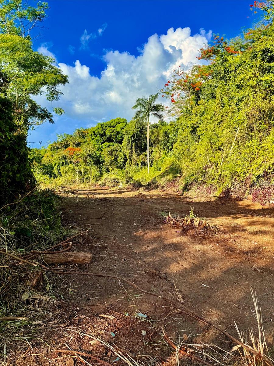 Barrio Cacao, PR