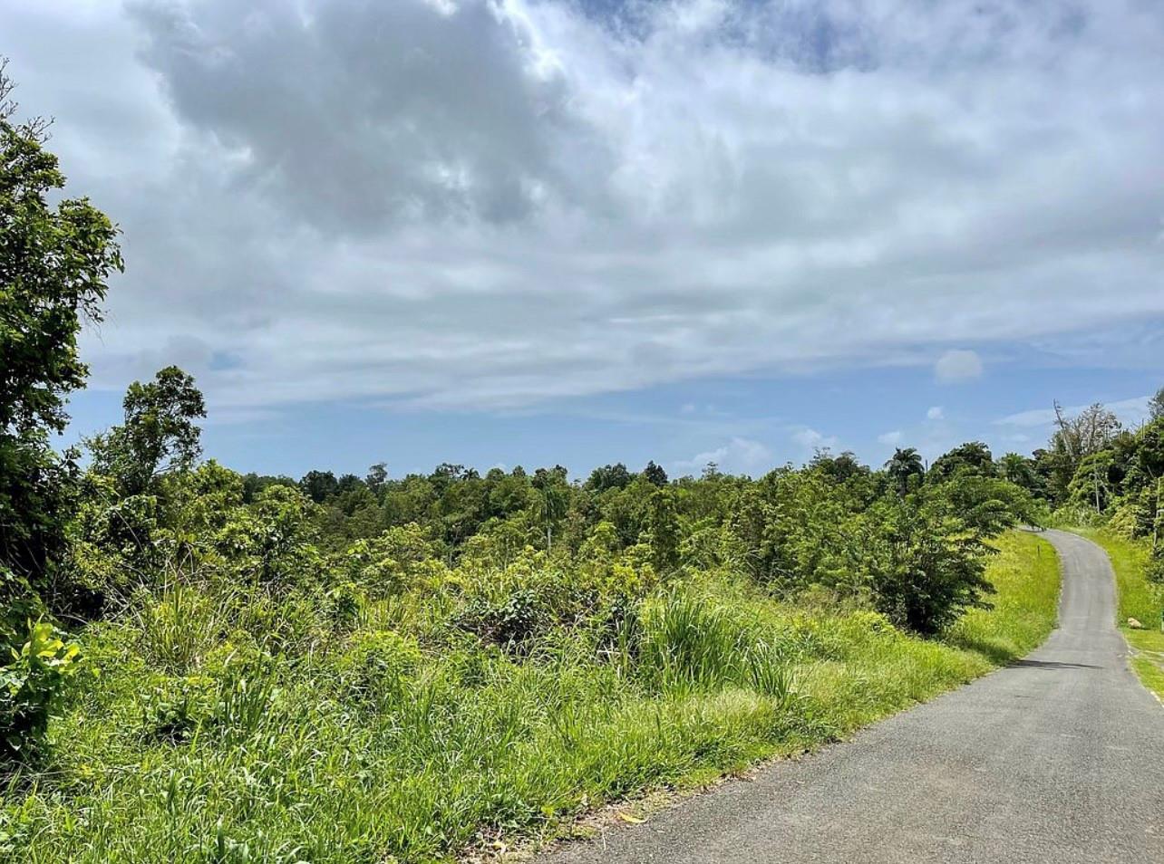 975 Ceiba , Bo Rio Abajo, PR