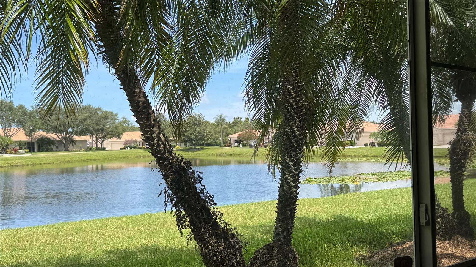 8228 Simpson Falls Court, FL