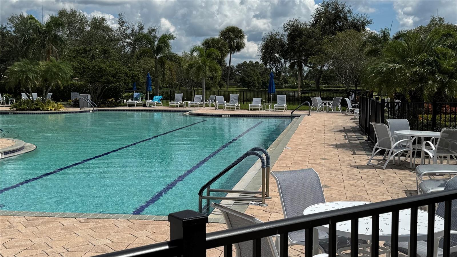 8228 Simpson Falls Court, FL