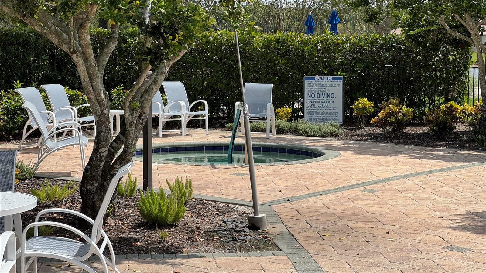 8228 Simpson Falls Court, FL