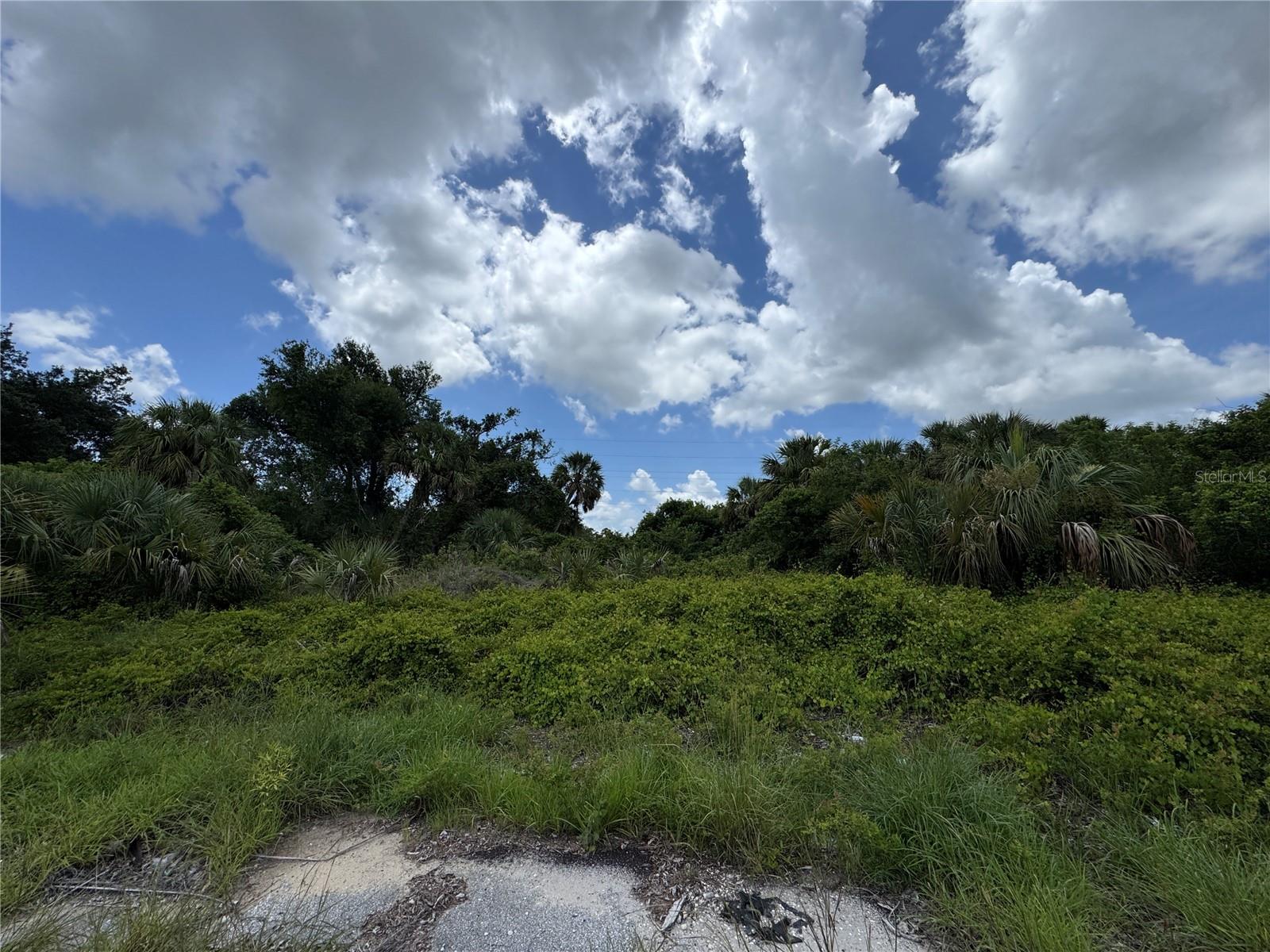 Nace Court, FL