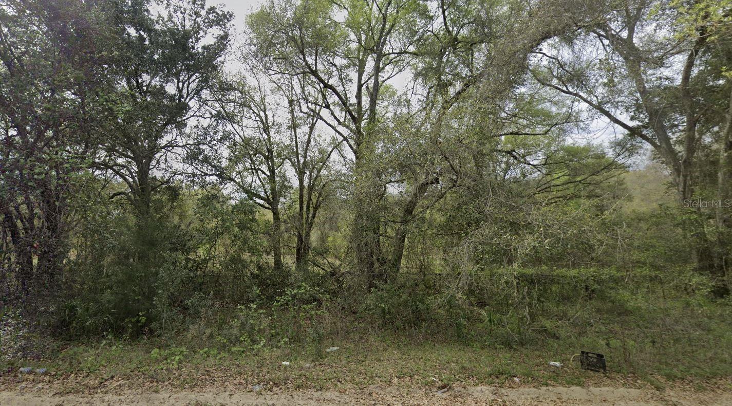 305 Milton Avenue, FL