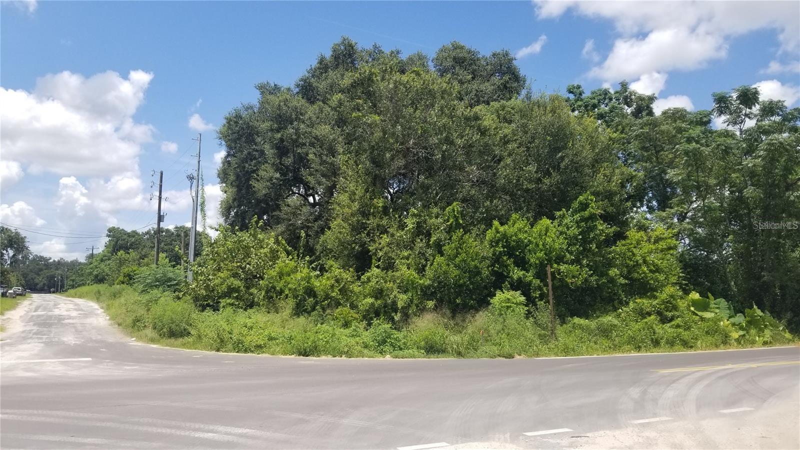 4137 New River Rd, FL