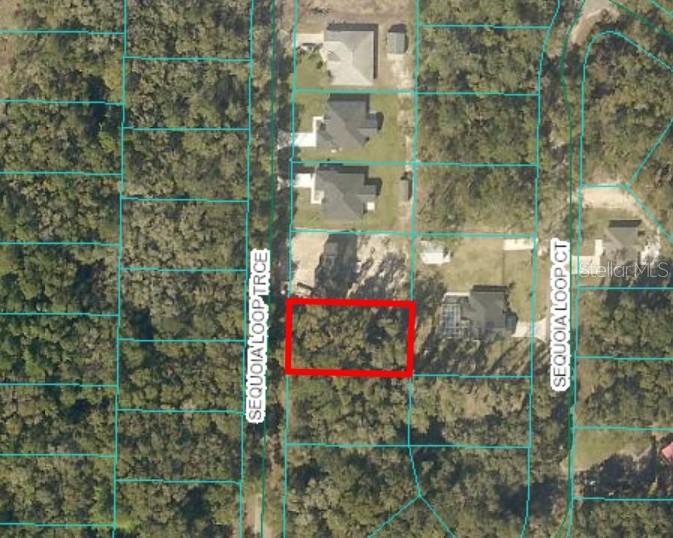 17 Sequoia Loop Trce, FL