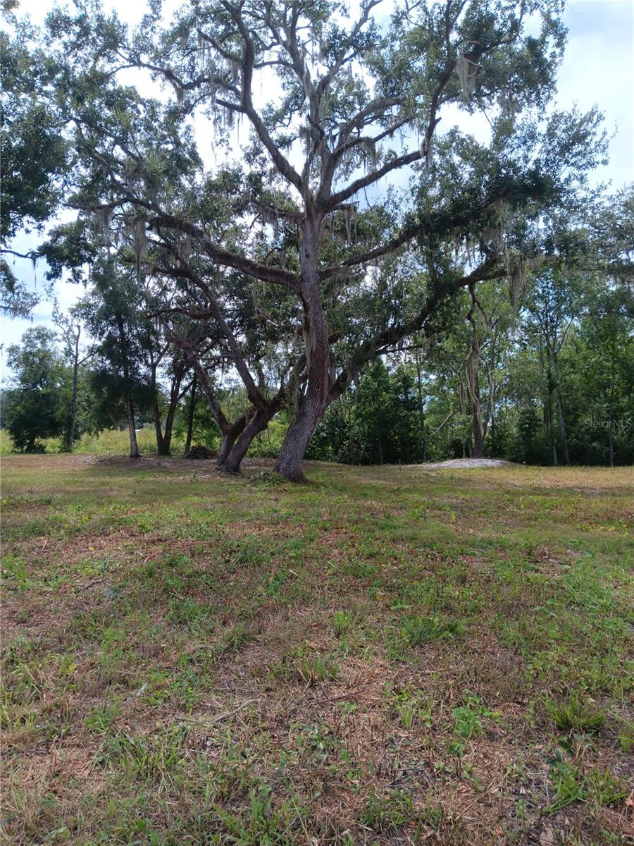 9117 Royal Palm Drive, FL