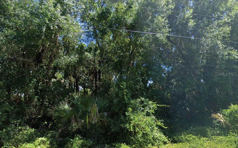 Dufferin Ave, FL