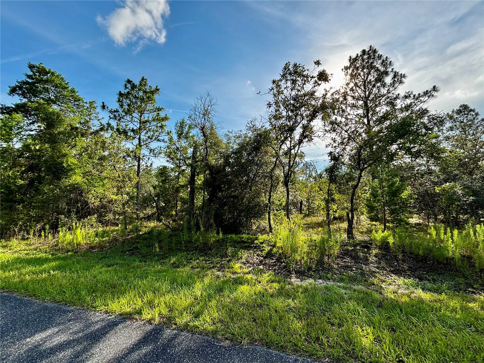 Lot 24 Se 136 Ter, FL