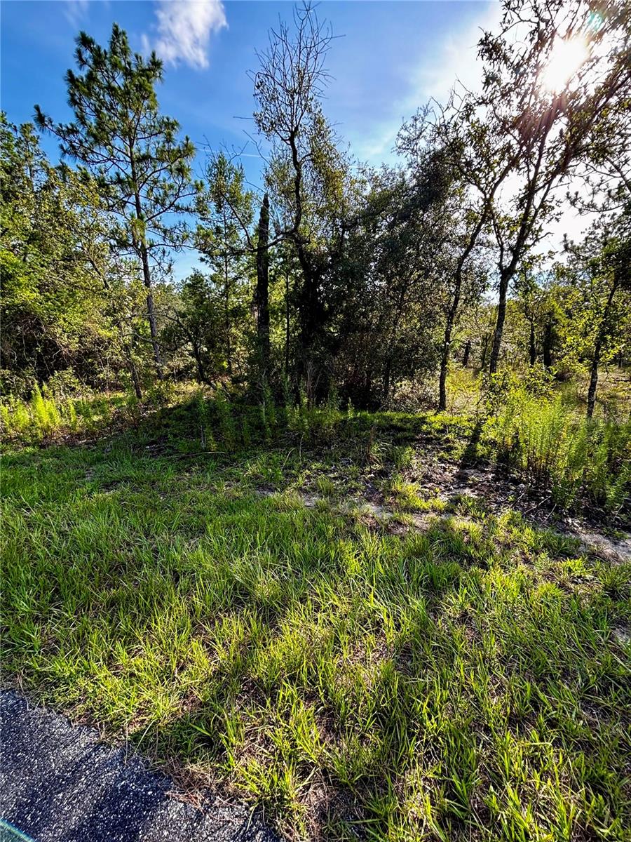 Lot 24 136 Terrace, FL