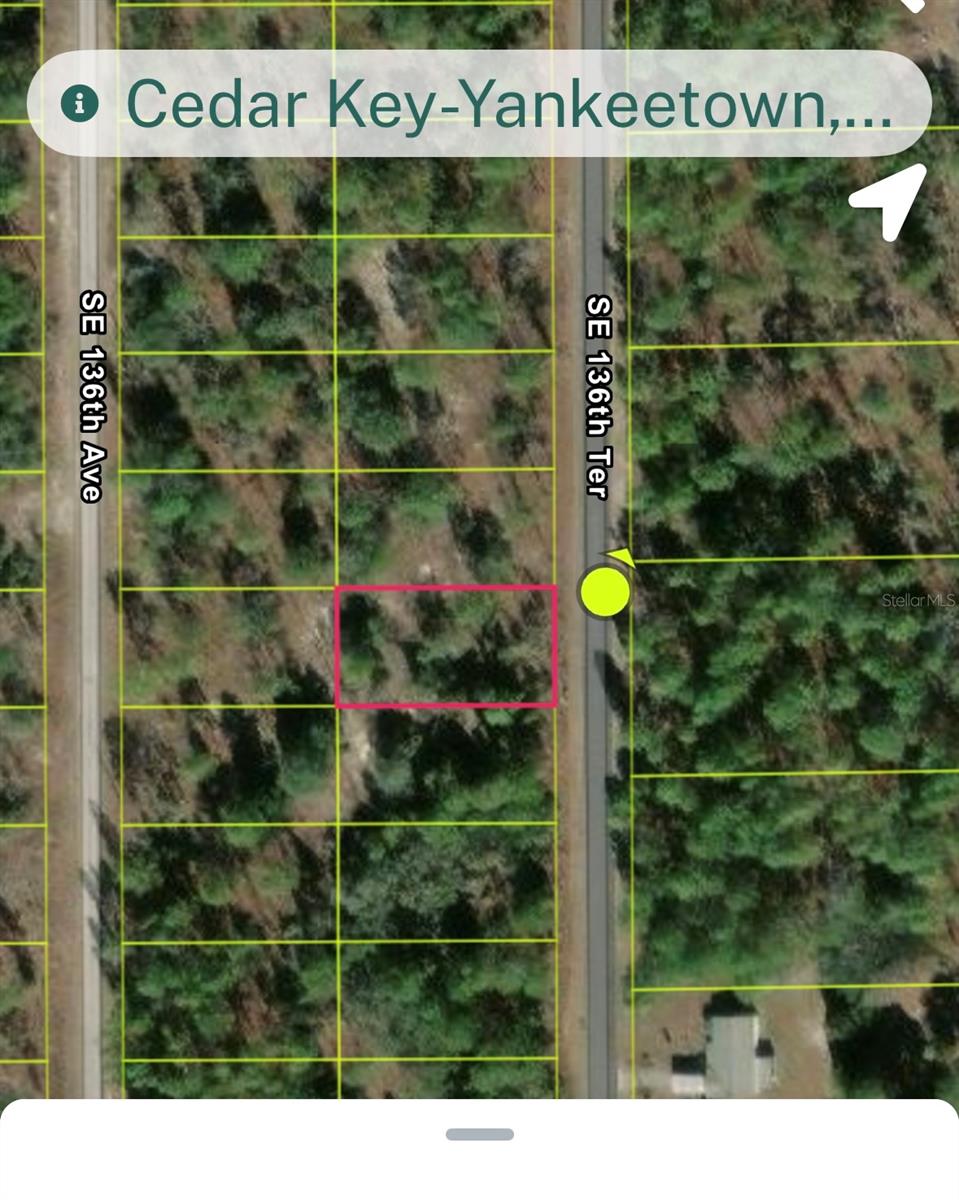 Lot 24 136 Terrace, FL
