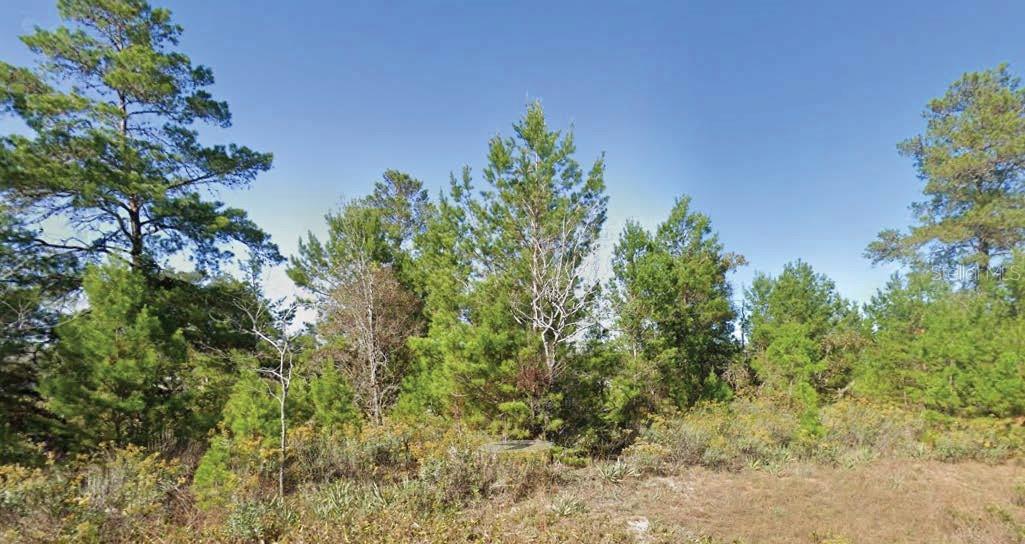 Dumajack Road, FL